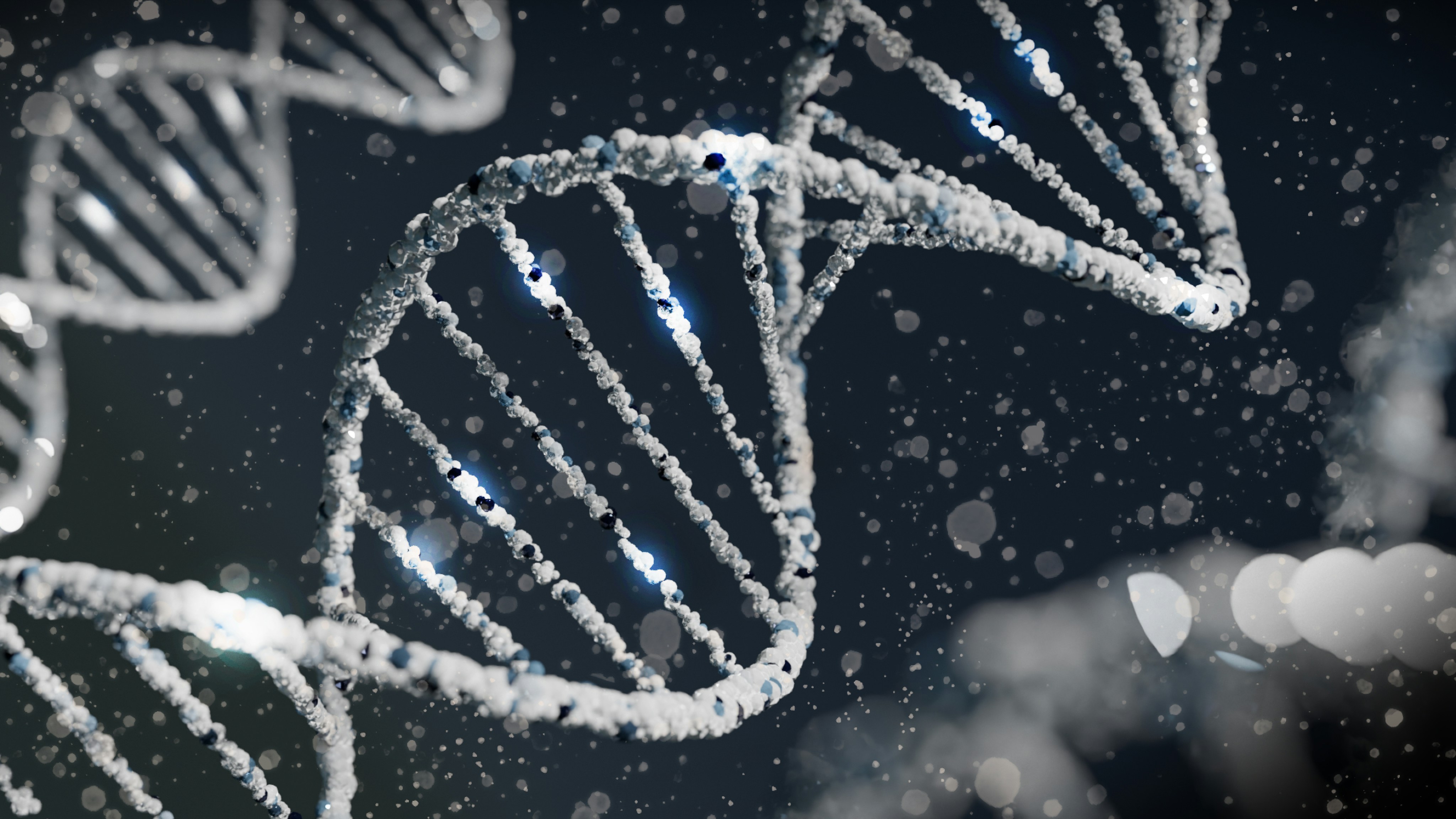 DNA Testing for Polynesian Genealogy Workshops
